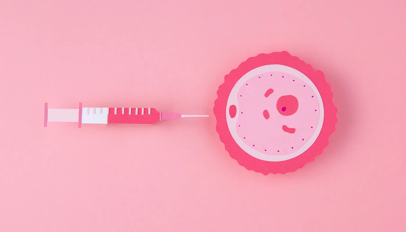 Tüp Bebek Tedavisi Nasıl Yapılır? Aşamalar ve Laboratuvar Süreci