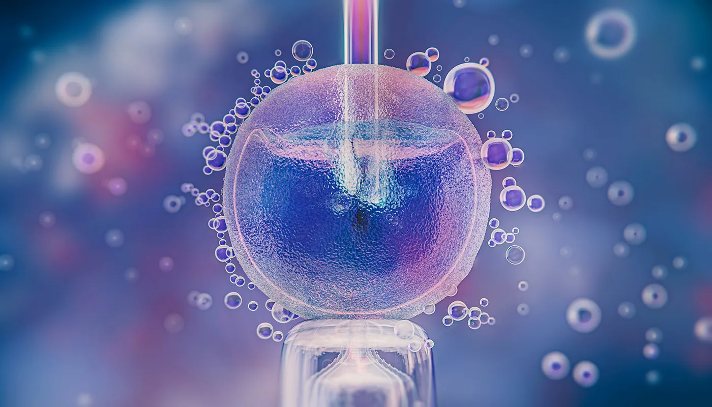 Tüp Bebek Tedavisinde Embriyo Transferi Nasıl Yapılır?