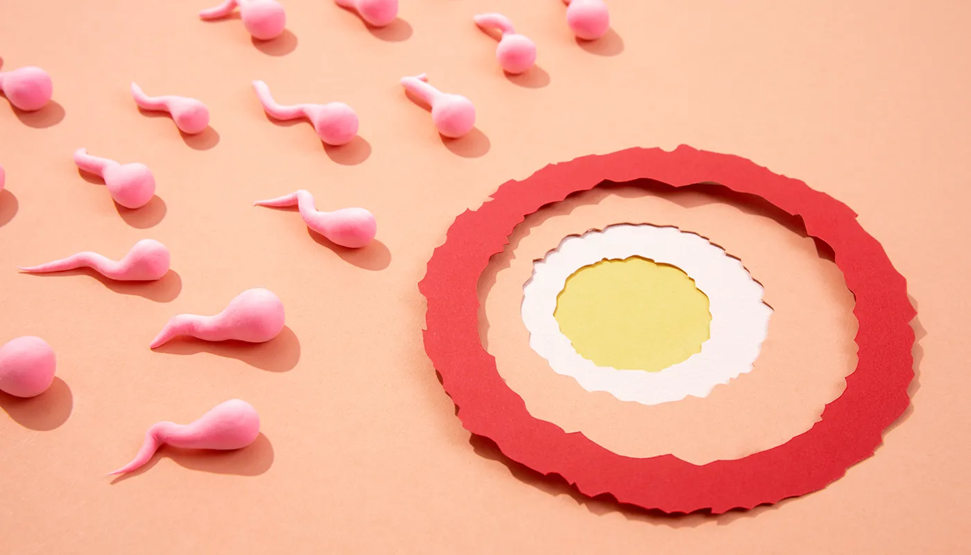 Tüp Bebek Tedavisinde Embriyo Zarı (Zona Pellucida) İnceltilmeli mi?