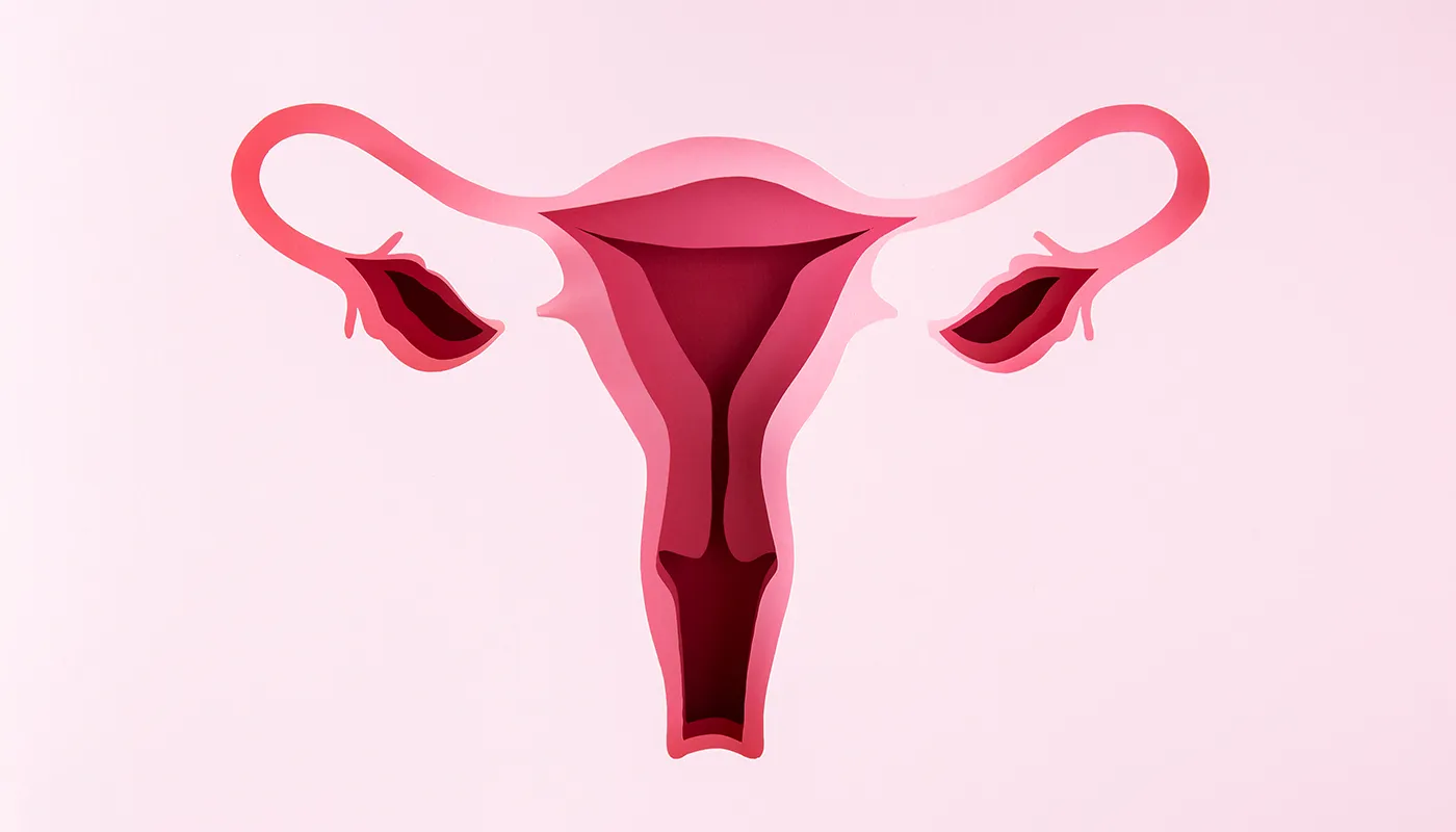 Rahim İçine (Endometriyuma) PRP Uygulaması Nedir? PRP’nin Endometriyuma Faydaları Nelerdir?