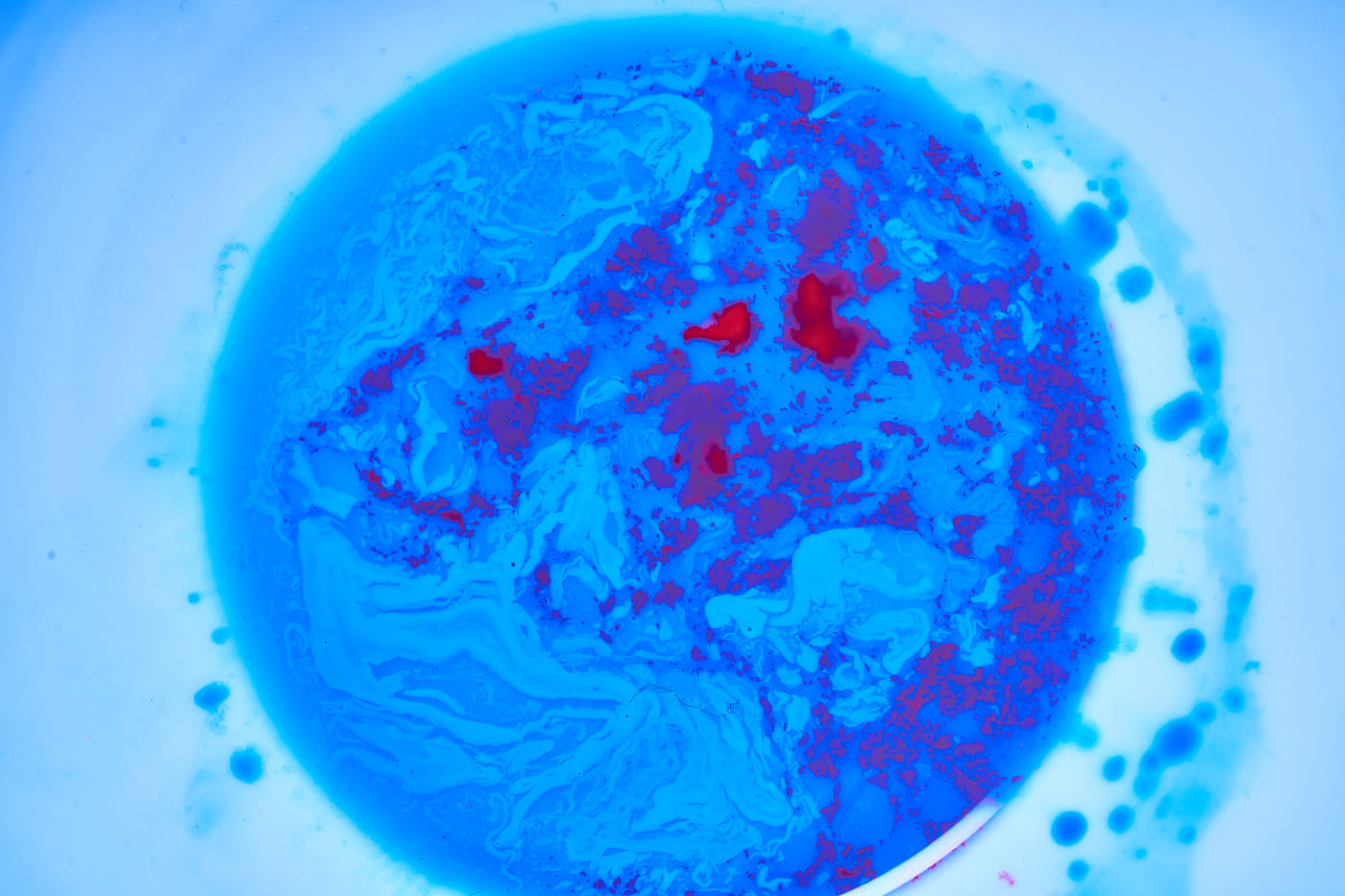 Embriyo Gelişimi Neden Durur? IVF Sürecinde Olası Nedenler ve Sonraki Adımlar