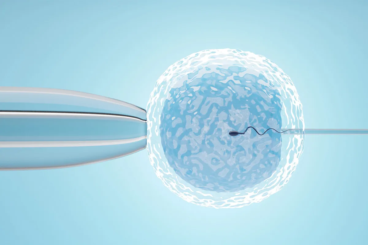 EmbryoGlue Nedir?