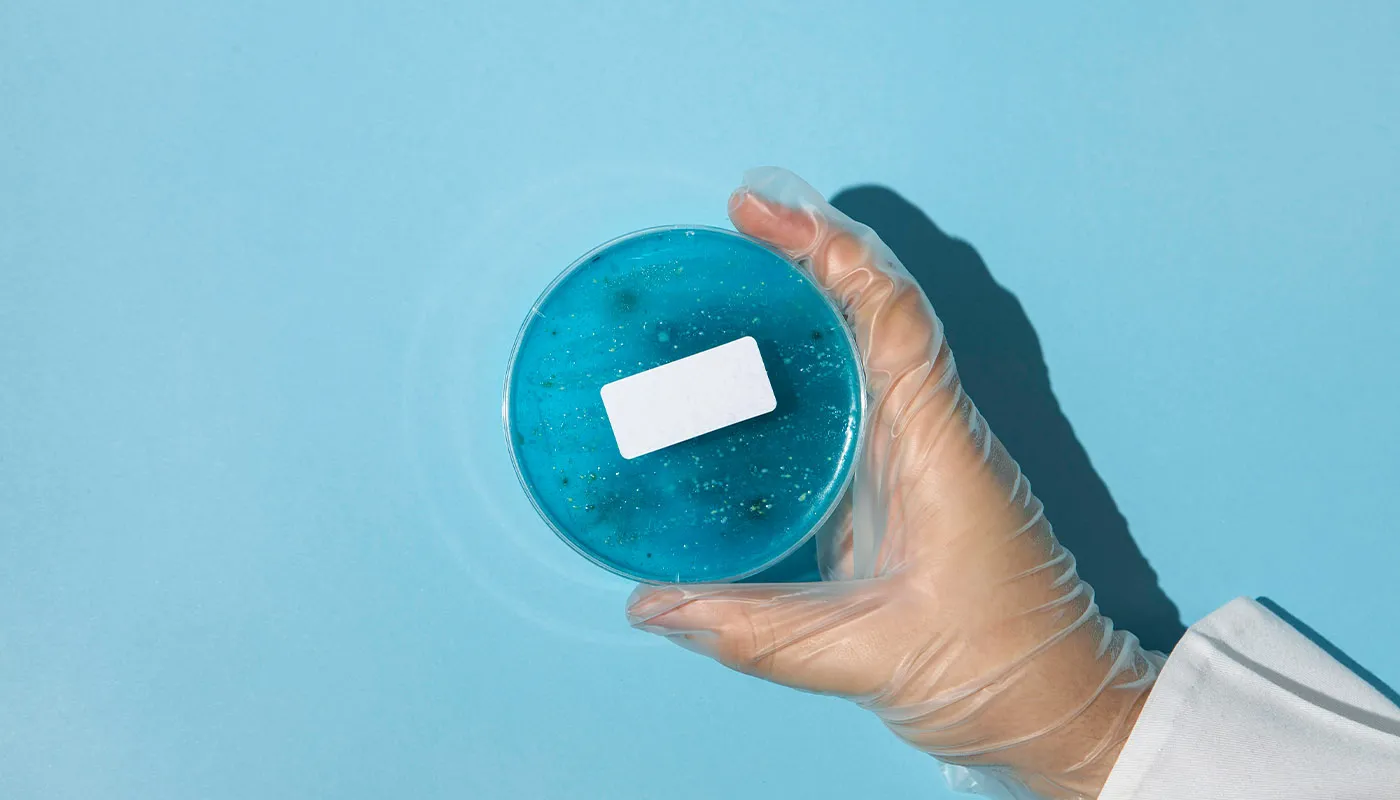 Tüp Bebekte Mikroçip (Sperm Chip) Yöntemi