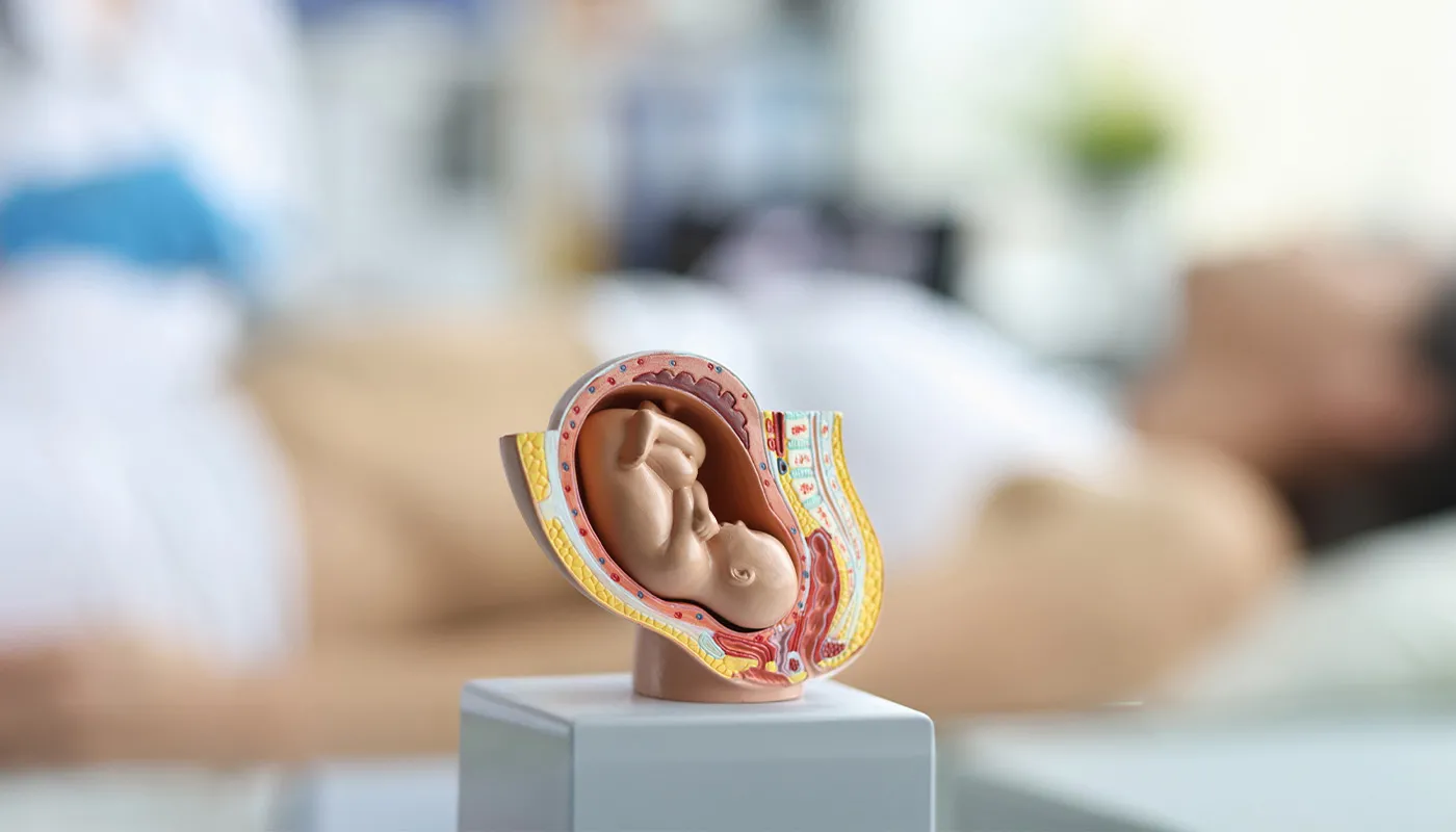 Klasik IVF mi ICSI mi? Tüp Bebek Tedavisinde Hangi Yöntem Sizin İçin Uygun?