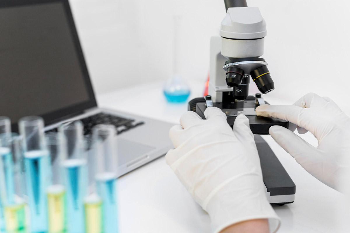 Öploid embriyo değerlendirmesi için laboratuvarda yapılan mikroskobik inceleme