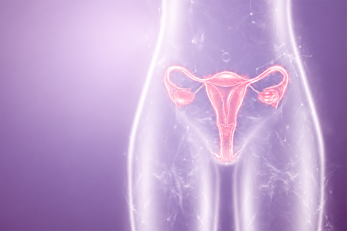 Adenomyozis hastalarında tüp bebek planlamasını temsil eden rahim illüstrasyonu