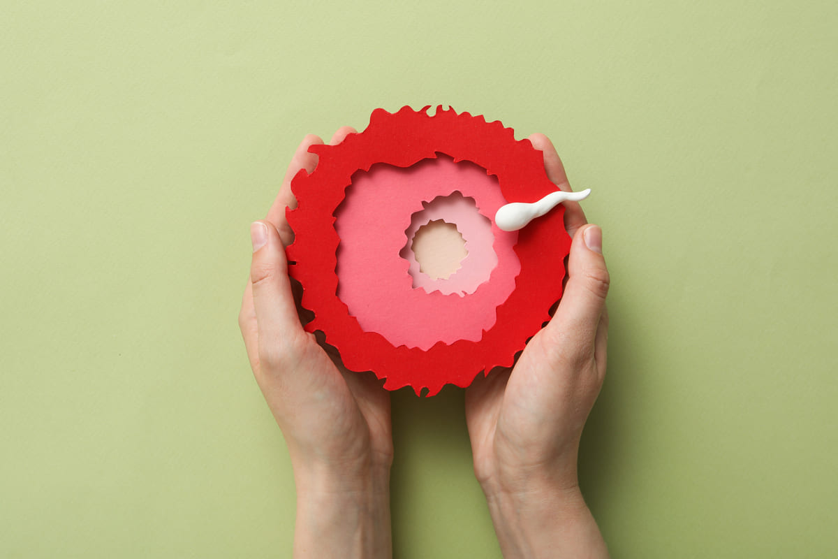 sperm hücresi illüstrasyonu