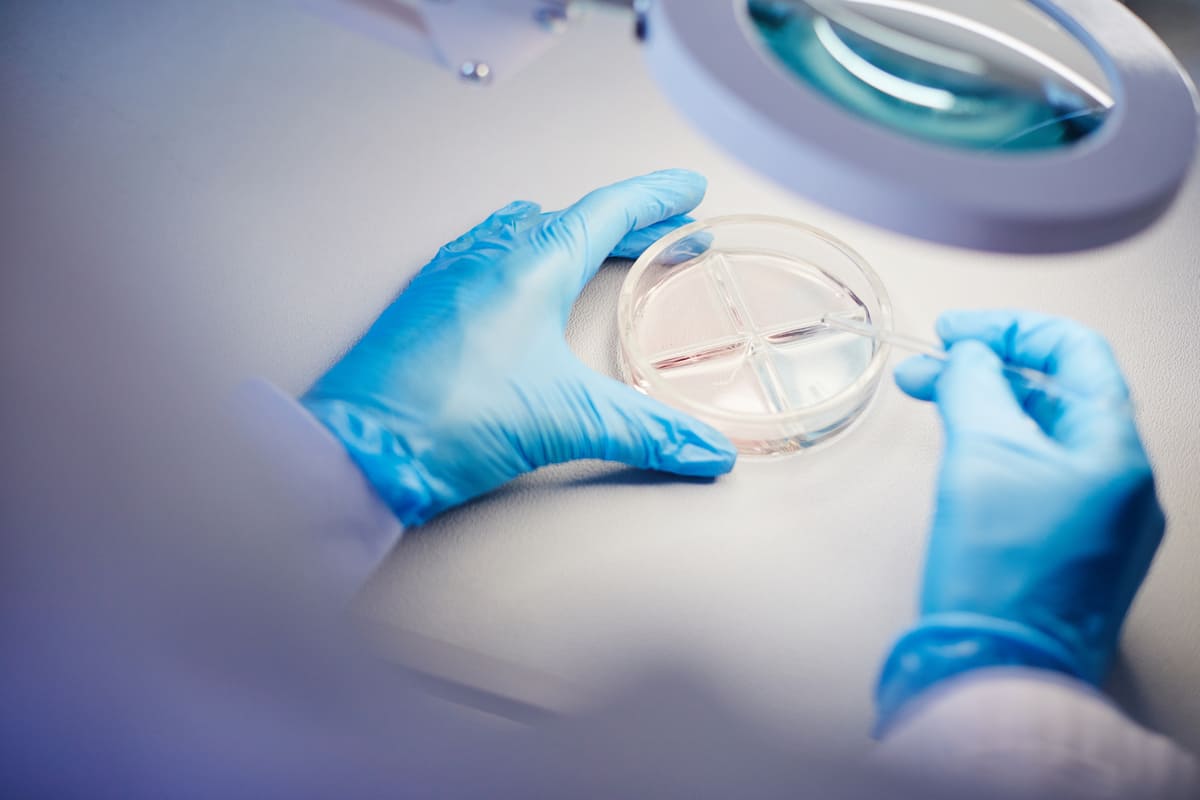 elinde test kiti olan biyolog