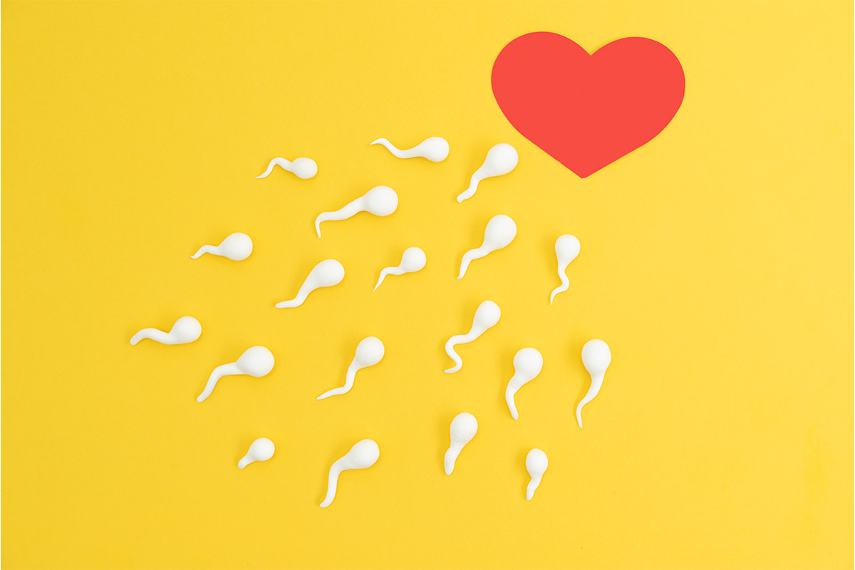 Sarı zeminde kırmızı bir kalbe doğru ilerleyen beyaz sperm hücresi maketleri.