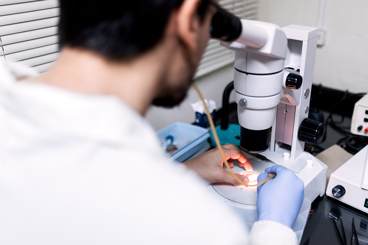 Laboratuvar ortamında mikroskop başında hassas inceleme yapan uzman doktor.