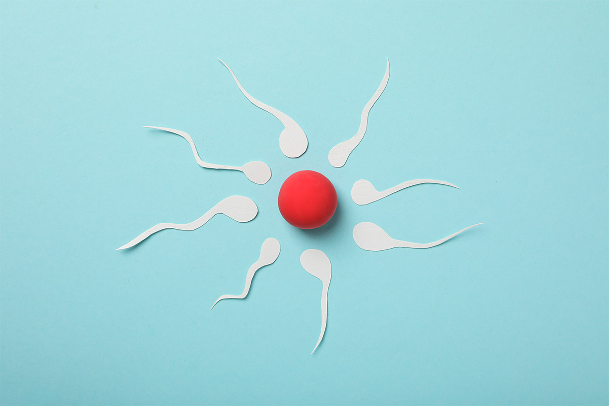 Mavi zeminde kırmızı bir merkeze yönelmiş, kağıttan yapılmış dairesel sperm figürleri.