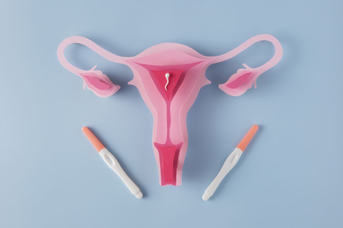 PCOS ve Gebelik Hamile Kalmak Mümkün mü