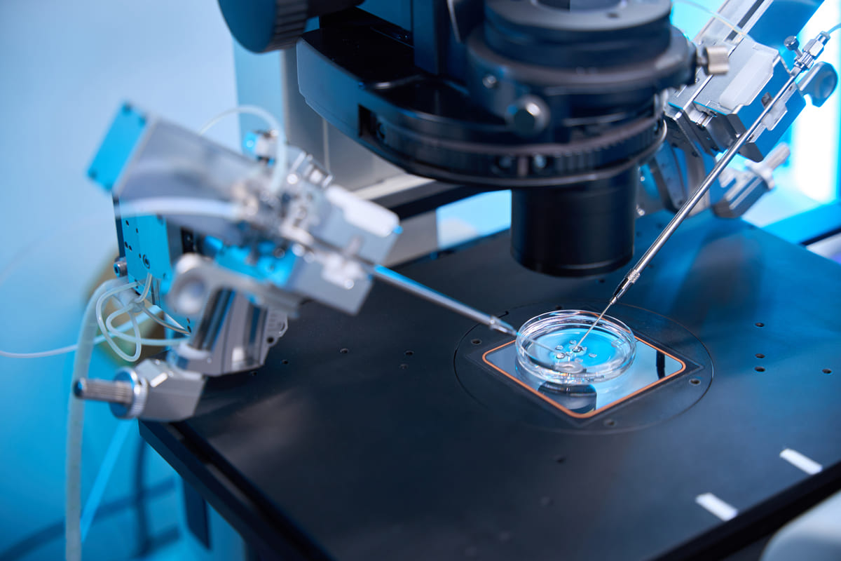 laboratuvar ortamın görüntüsü