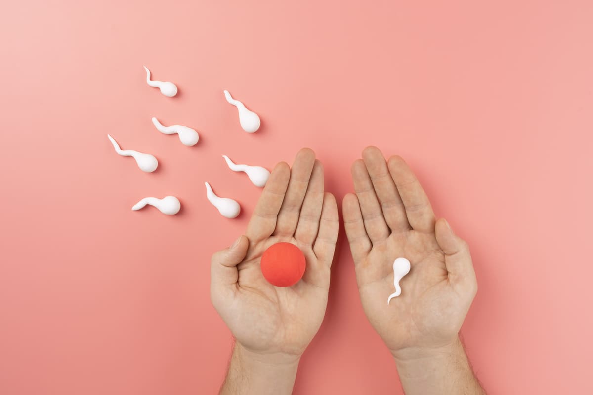 yumurta ve sperm hücreleri