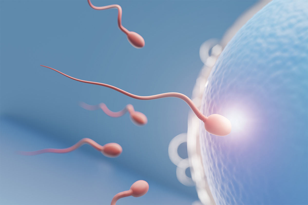 Mavi arka planda, açık renkli bir yumurtanın zarına ulaşmış ve parlayan tek bir sperm hücresi.