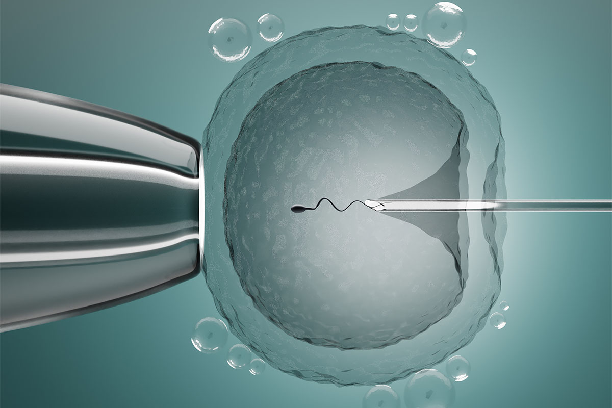 eşil-mavi planda; mikroenjeksiyon yöntemiyle yumurta içerisine sperm hücresi bırakılma anının makro çekimi.