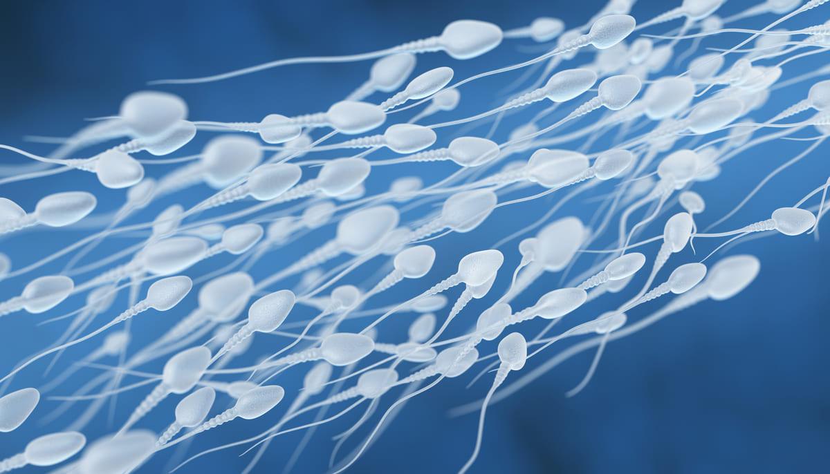 mikroskop altında sperm hücreleri