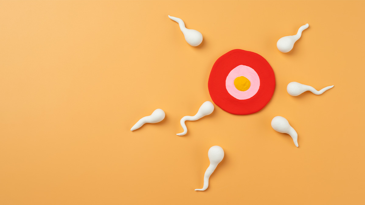Yumurta ve sperm kalitesinin tüp bebek başarısına etkisini temsil eden tıbbi görsel