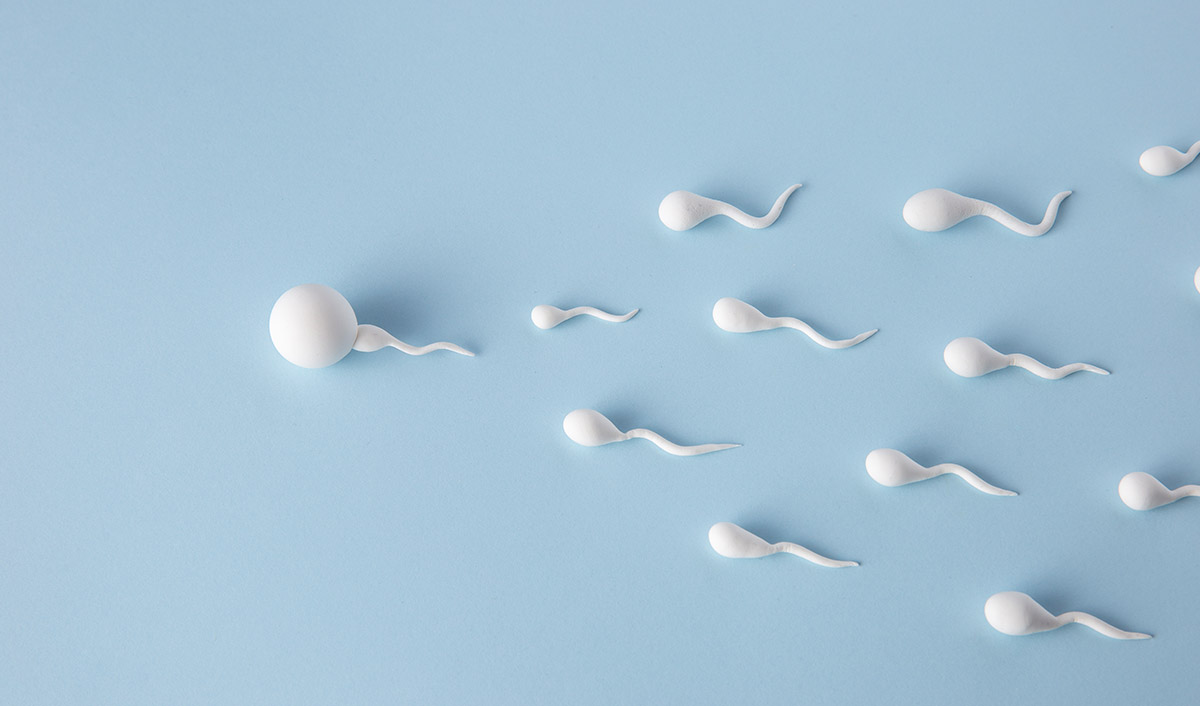 Sperm Toplama Teknikleri
